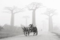 394 - GO TO WORK IN THE MORNING - LI XUNLEI - china <div